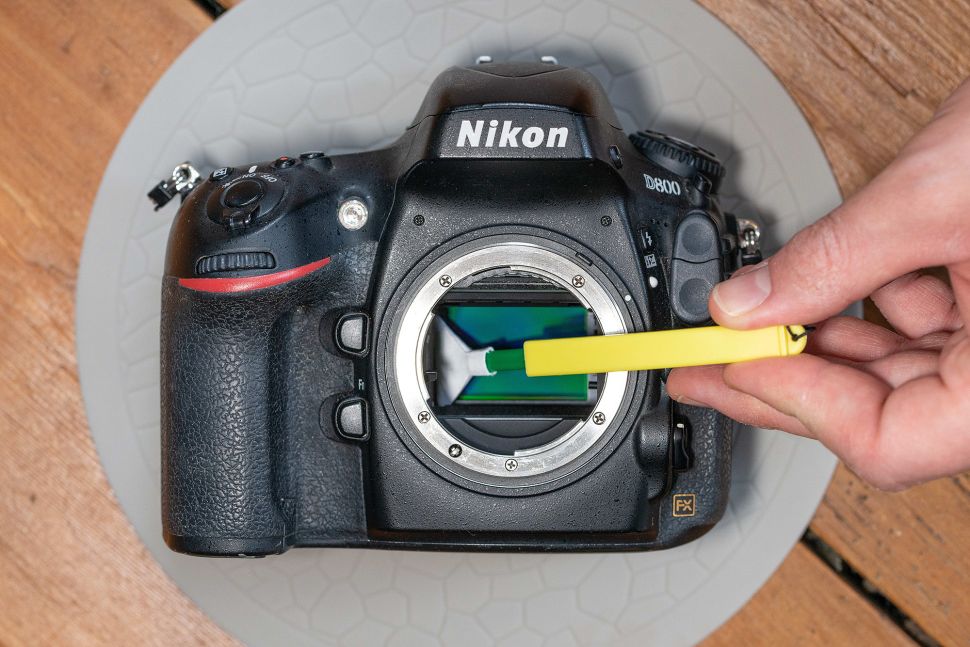 nikon d800 sensor