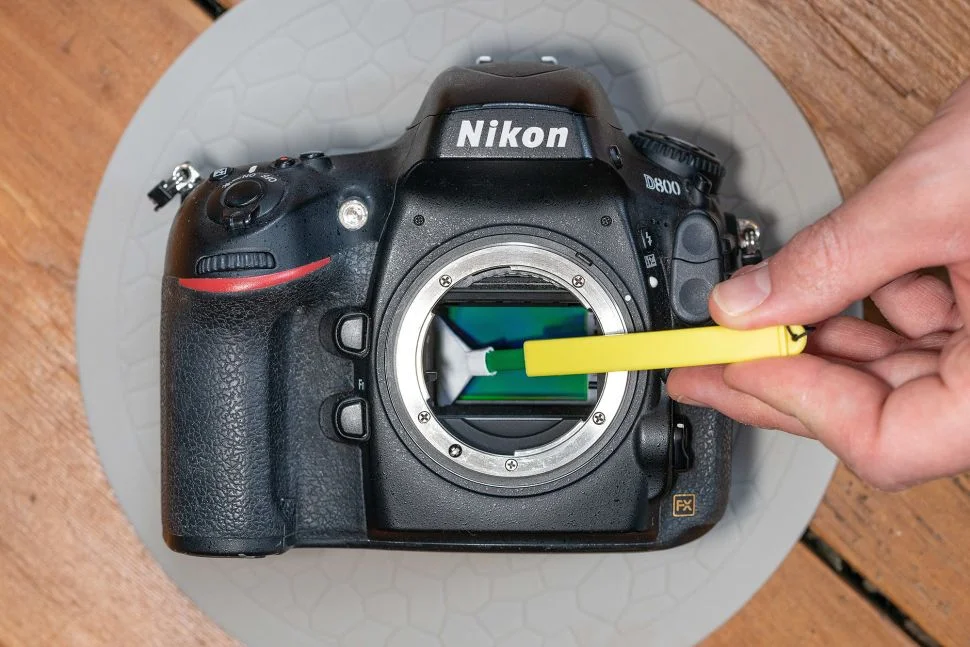 2022'de Aynasız vs DSLR 12 nikon d800 sensor
