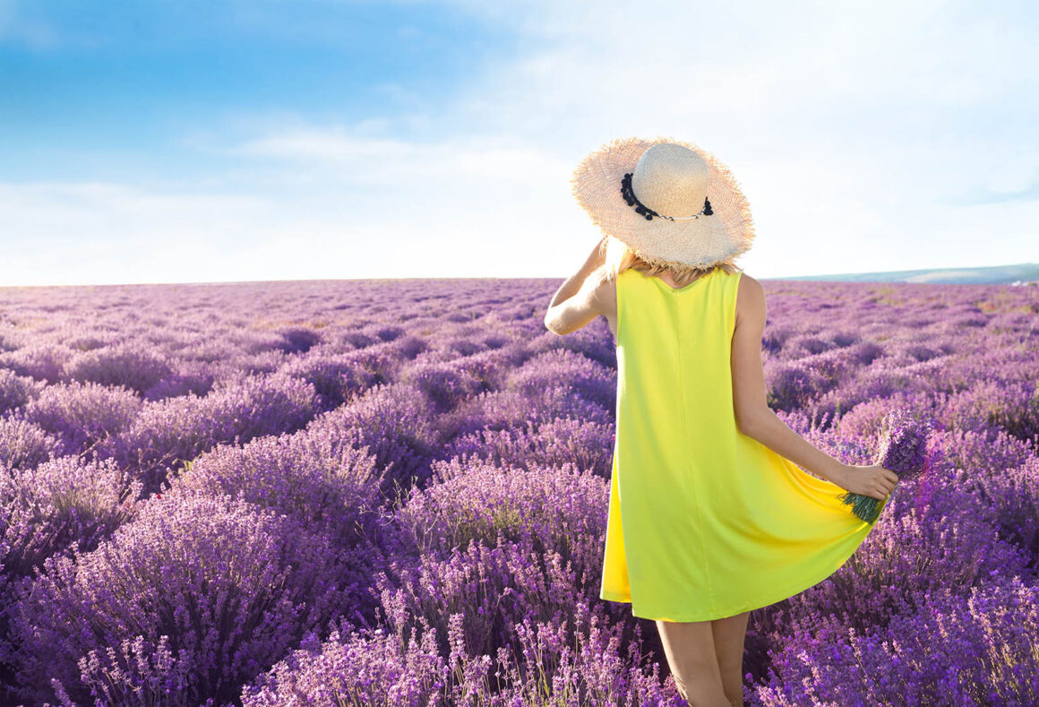 Fotoğrafta Tamamlayıcı Renkler 12 woman in lavendar field
