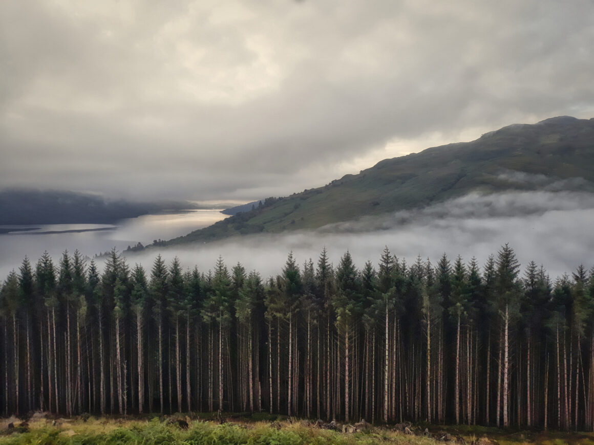 2022 Yılın Hava Fotoğrafçısı Yarışması Kazananları 5 05 Vince Campbell Scotch Mist scaled 1