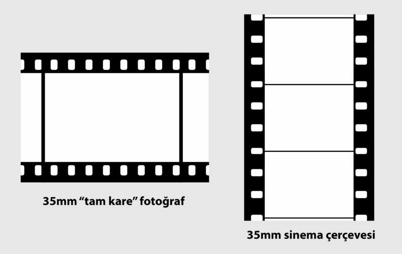 35mm still vs motion picture film frames