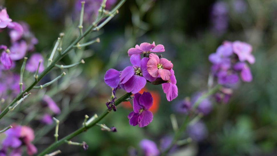 Panasonic Lumix S 50mm F1.8 İncelemesi 5 6MeJcGybsHyzXUigHpsGjP 970 80