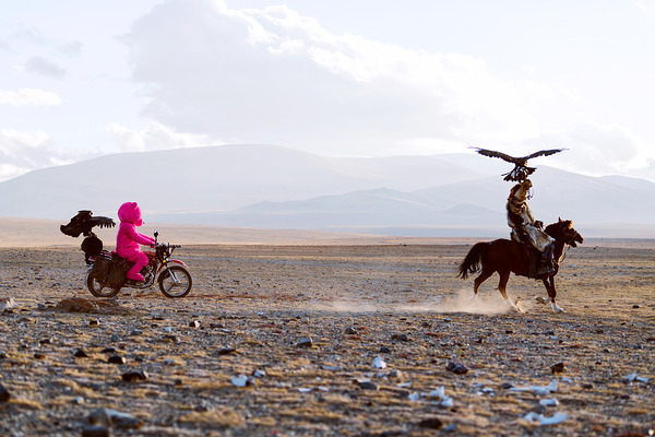 Paul Robinson : Pembe Ayı Moğolistan'da 15 8809987668