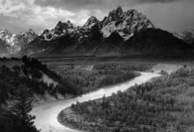 Galeri Sahibi "Ansel Adams" Dolandırıcılığından FBI Tarafından Tutuklandı 7 AnselAdams