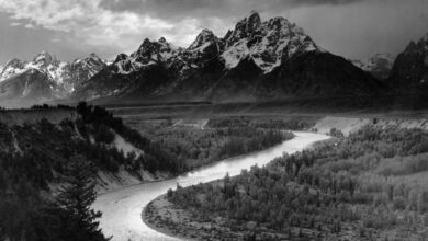 Galeri Sahibi "Ansel Adams" Dolandırıcılığından FBI Tarafından Tutuklandı 5 AnselAdams