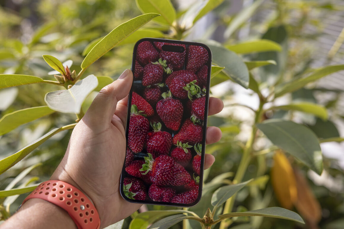 Apple iPhone 14 Pro İncelemesi 3 Apple iPhone 14 Pro Incelemesi 002