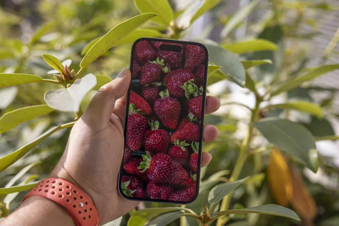 Apple iPhone 14 Pro İncelemesi 3 Apple iPhone 14 Pro Incelemesi 002