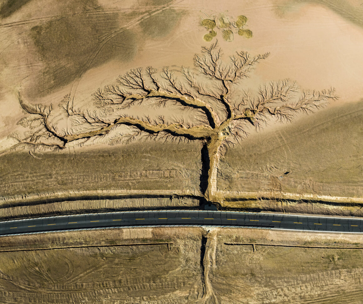 2022 Nature Conservancy Fotoğraf Yarışması