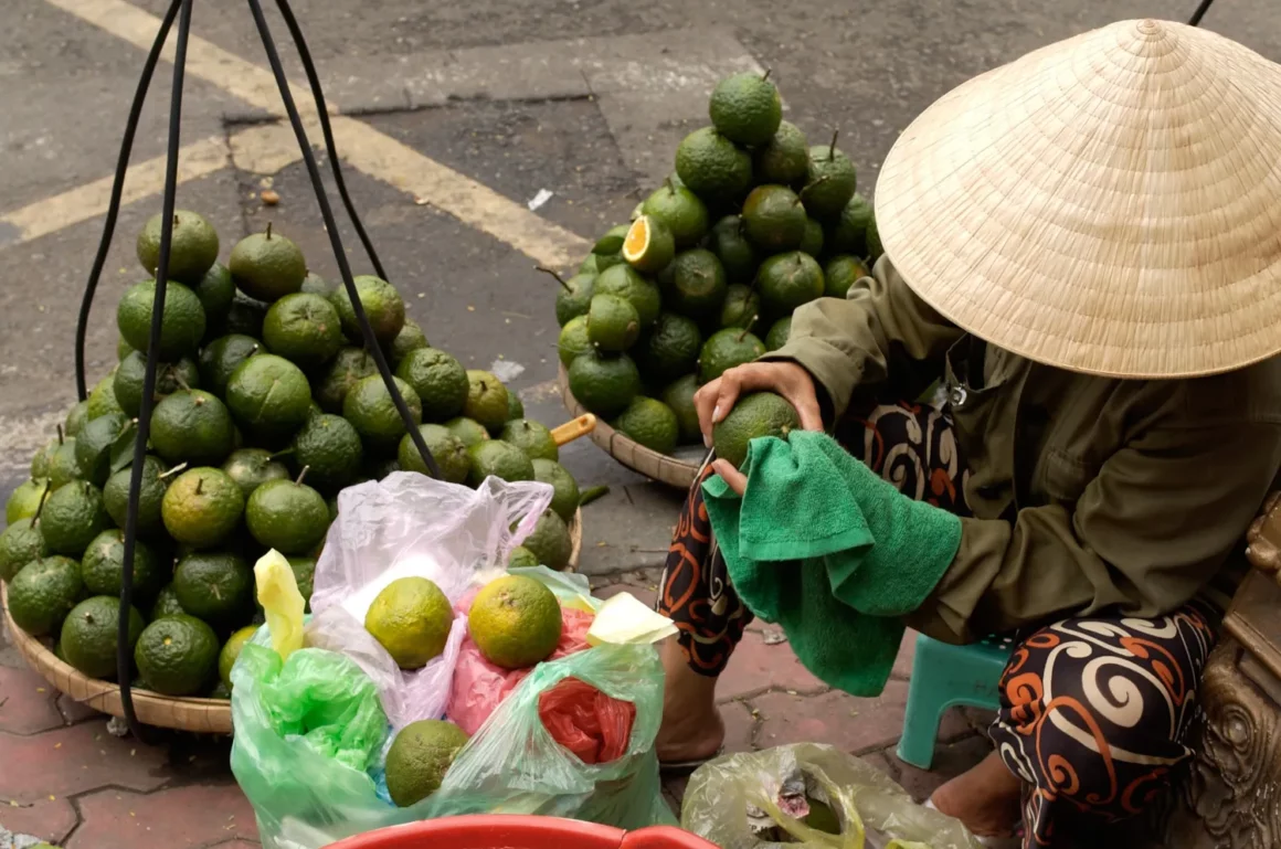 Market Vendor