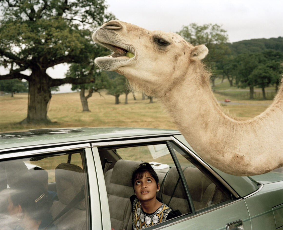 Martin Parr: Zengin Sınıfların Boş Zaman Takiplerinin Fotoğrafçısı 4 Martin Parr Zengin Siniflarin Bos Zaman Takiplerinin Fotografcisi 003