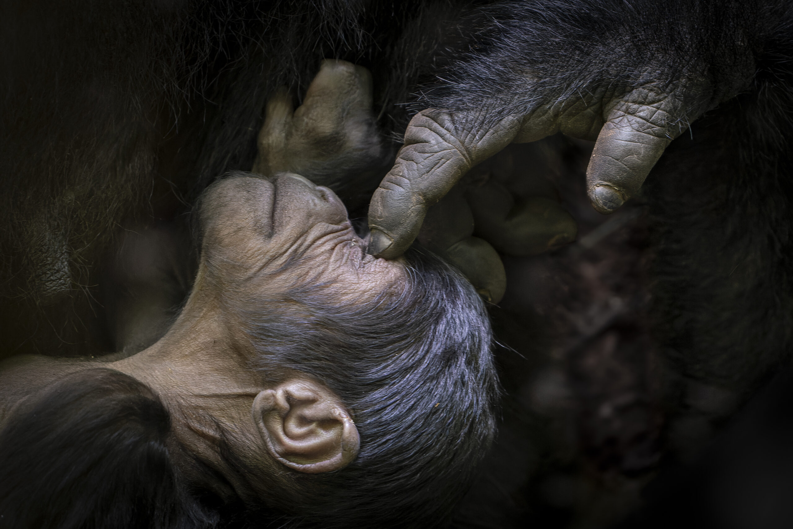 Photographer of the Year Touch by Tomasz Szpila scaled