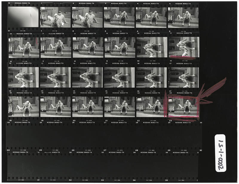 elliot erwitt bulldog contact sheet