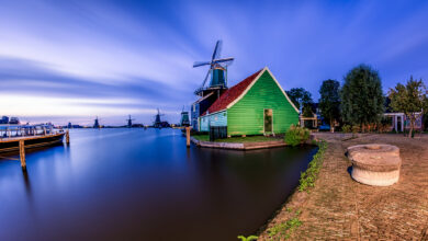 Bulb Modu: Nihai Kılavuz (+ Yaratıcı Fikirler) 11 Bulb Modu