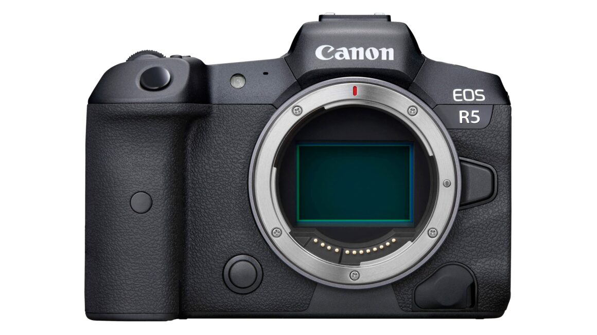 Canon EOS R6 II vs EOS R5