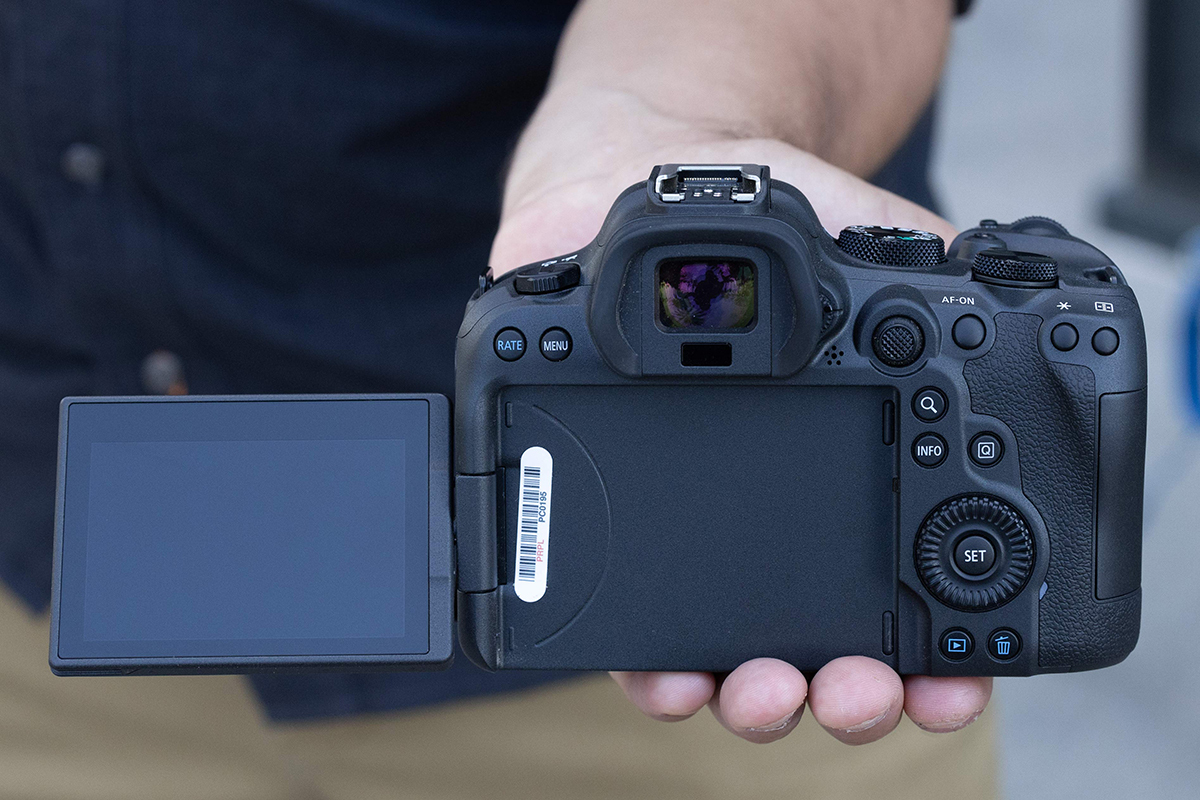 2020 R6 Screen Canon_EOS_R6_II_rear_screen - Sanal Sergi