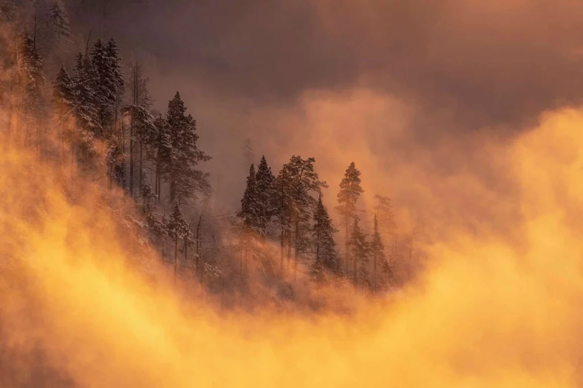 Natural Landscape Awards 2022 3 Daniel Mirlea