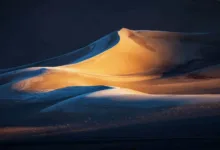 Kutsal Dinginlik Brent Clark