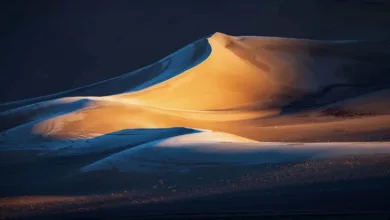 Natural Landscape Awards 2022 4 Kutsal Dinginlik Brent Clark