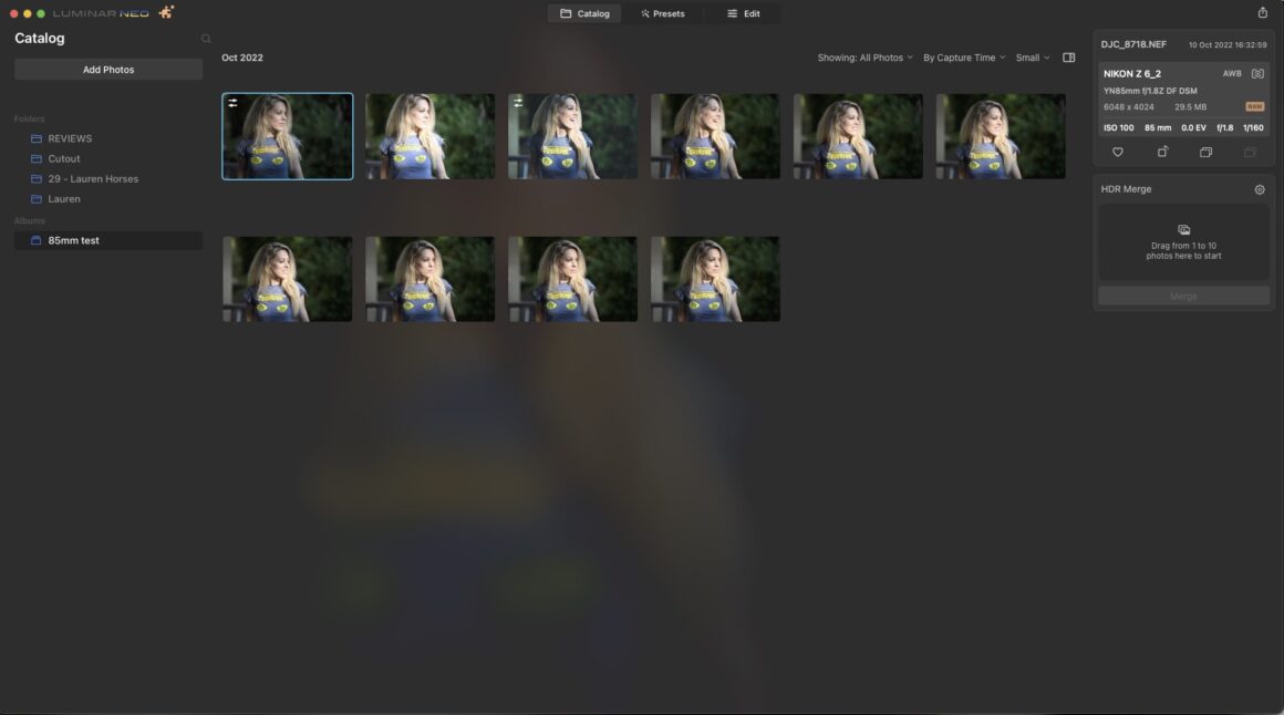 Luminar NEO Nedir? 5 Luminar NEO Catalog DAM