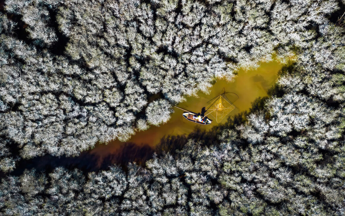 Mangrove Fotoğraf Ödülleri 2022 3 MAKE A LIVING IN THE WHITE FLOWERED MANGROVE FOREST