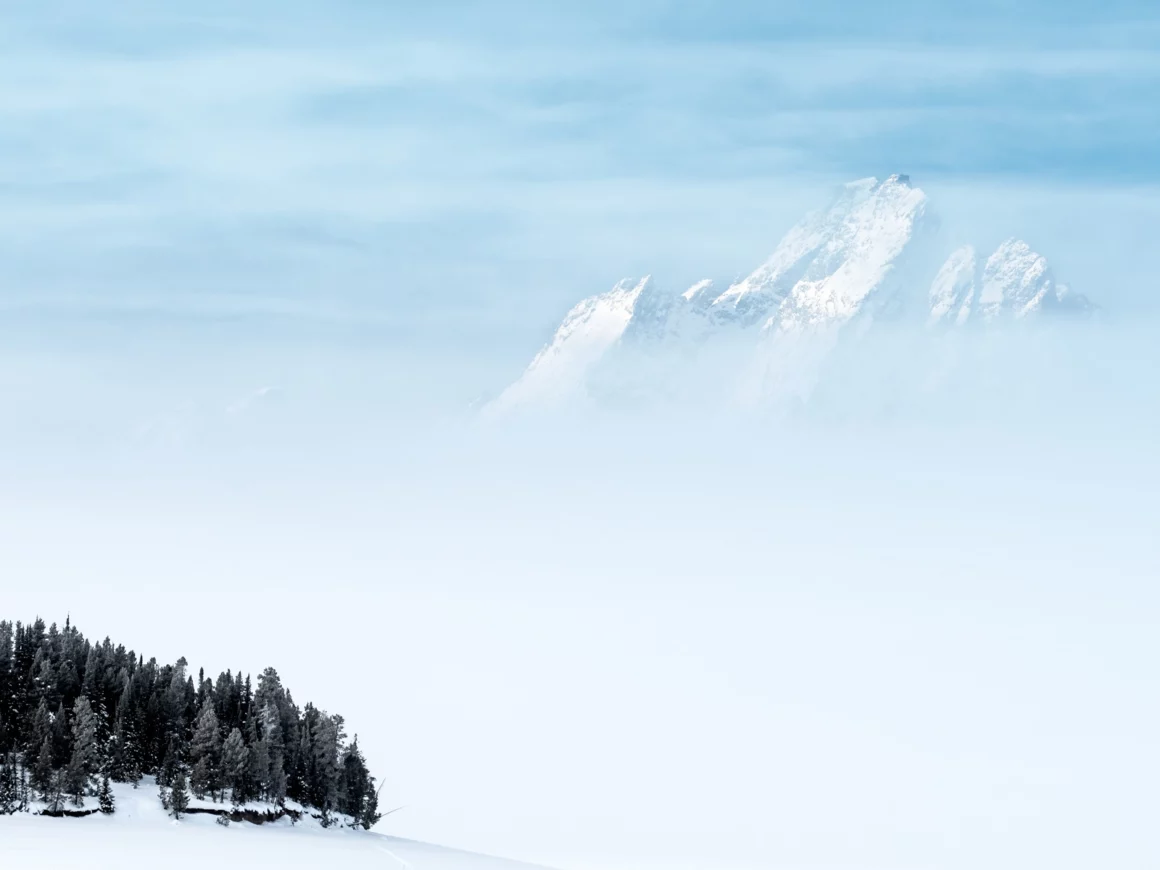 Kışın Yaban Hayatı Fotoğraflamak İçin 9 İpucu 3 Moran Winter JPG