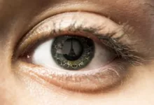 SIM65N4428OR4446 04 e1664706565204