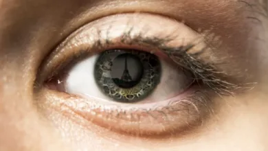 2022'nin En İyi 10 Fotoğraf Düzenleme Yazılımı 3 SIM65N4428OR4446 04 e1664706565204