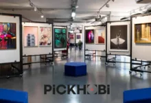 Stephen Wayda Pickhobide header