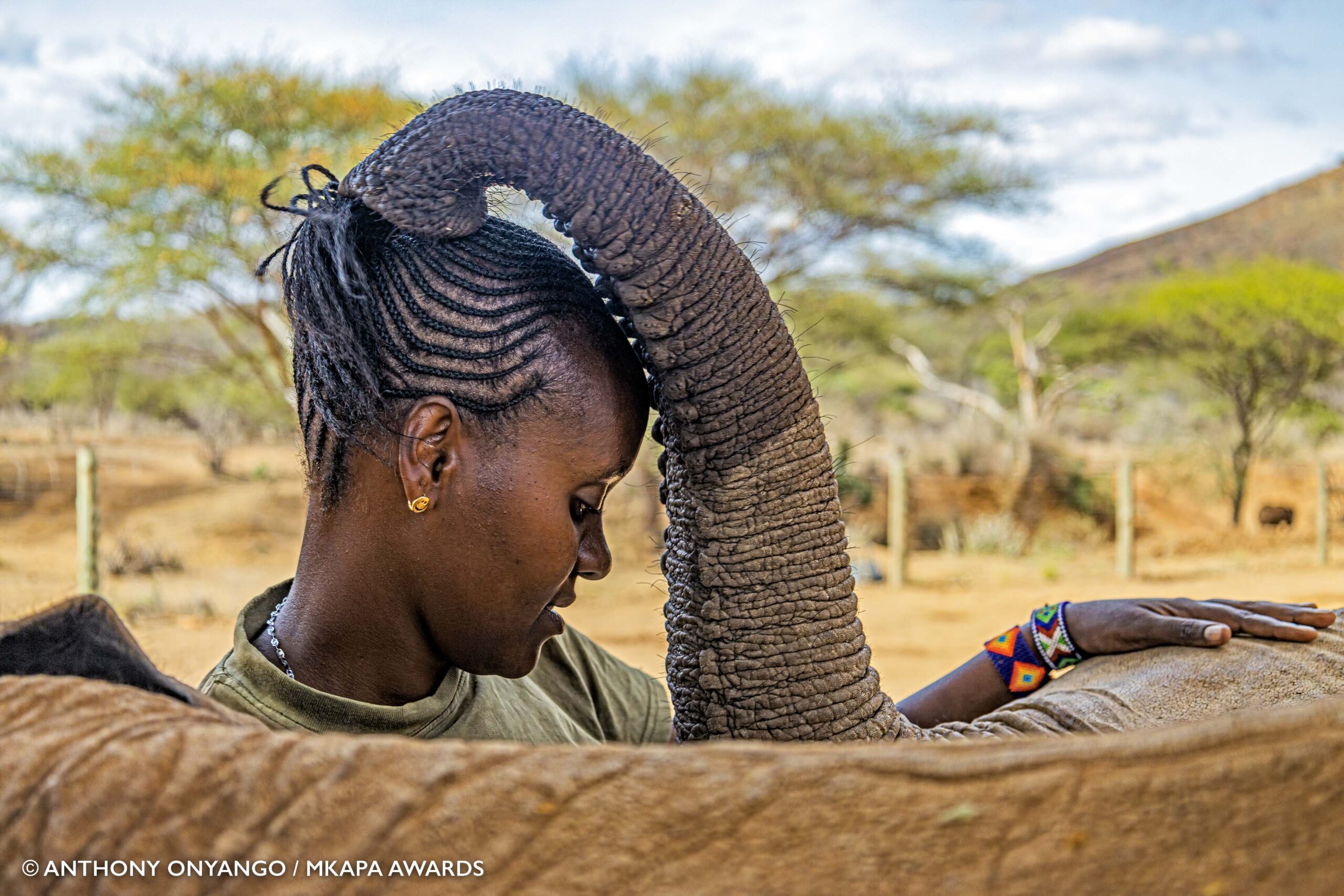 2022 Mkapa Afrika Yaban Hayatı Fotoğraf Ödülleri 6 Winner AfricanConservationHeroes AnthonyOnyango ElephantCaregiver 1 scaled