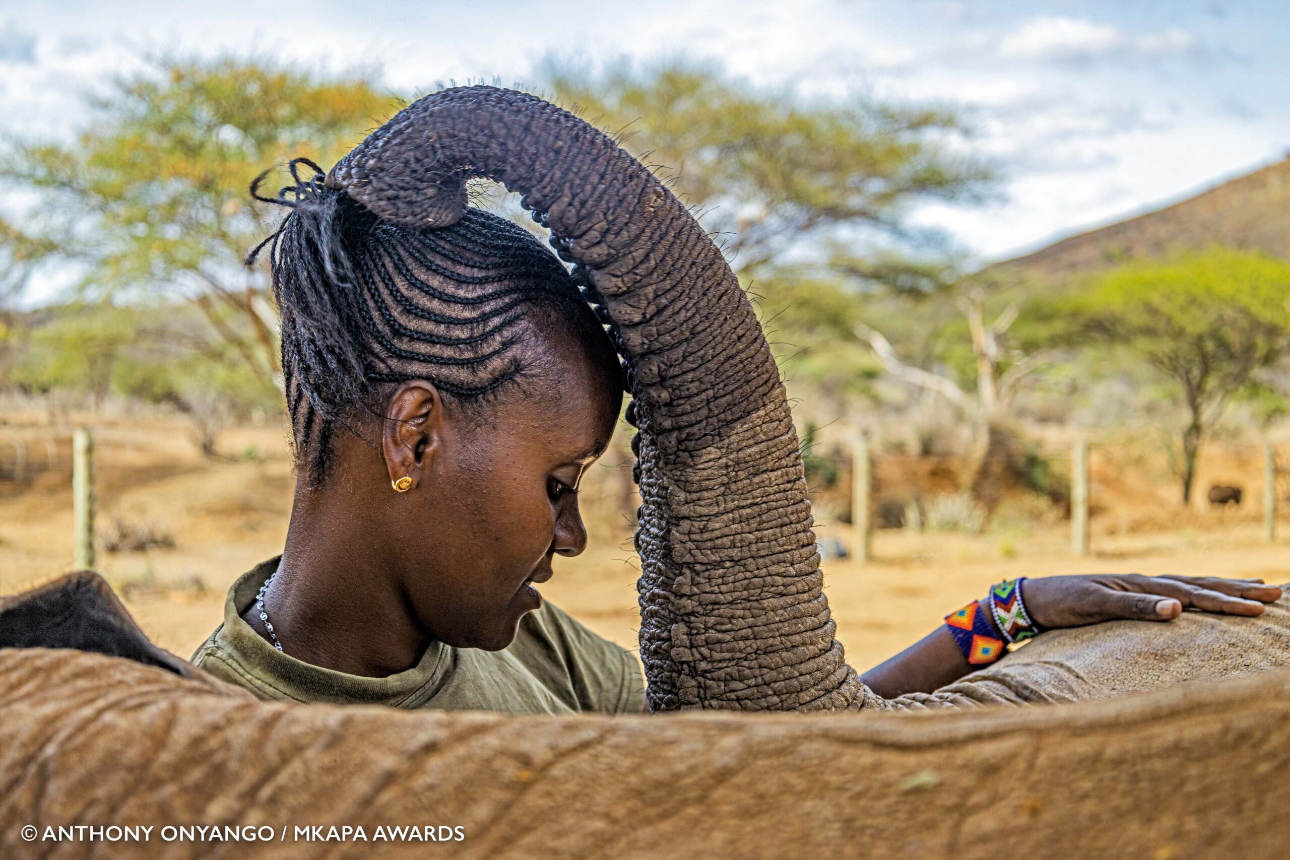 Winner AfricanConservationHeroes AnthonyOnyango ElephantCaregiver 1 scaled