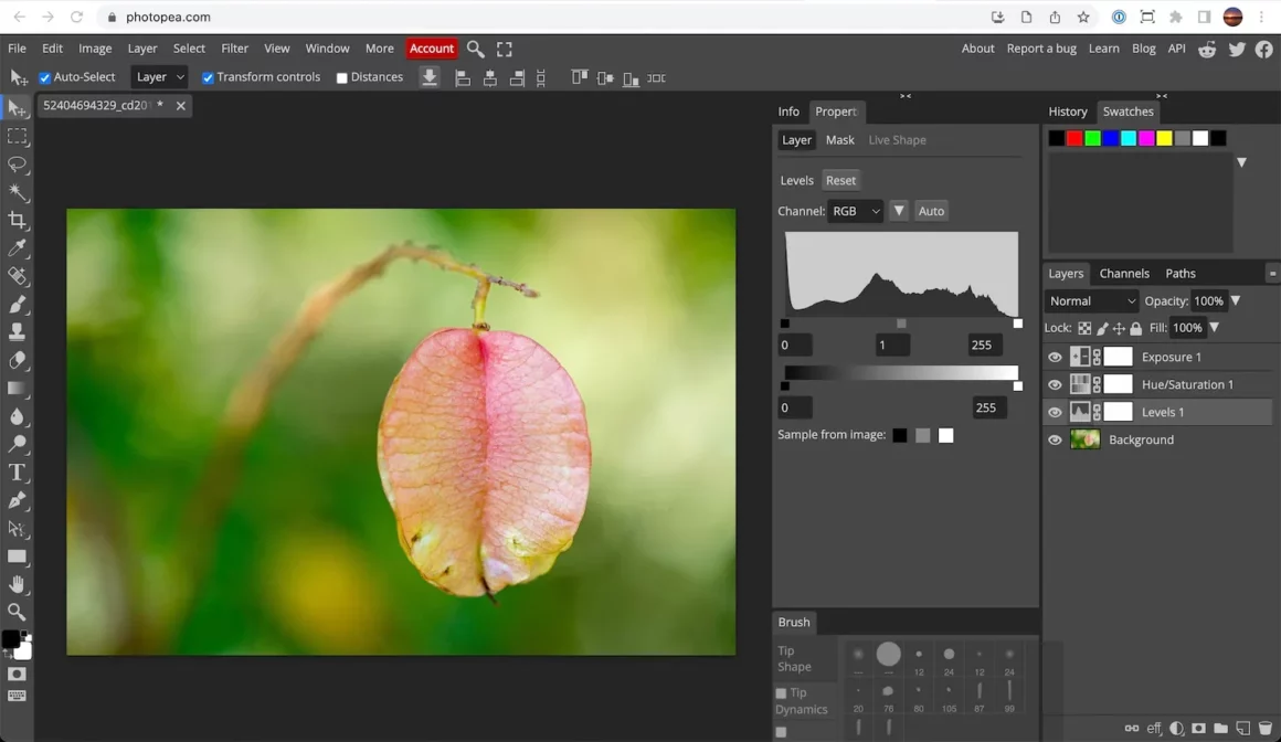 best photo editing software photopea