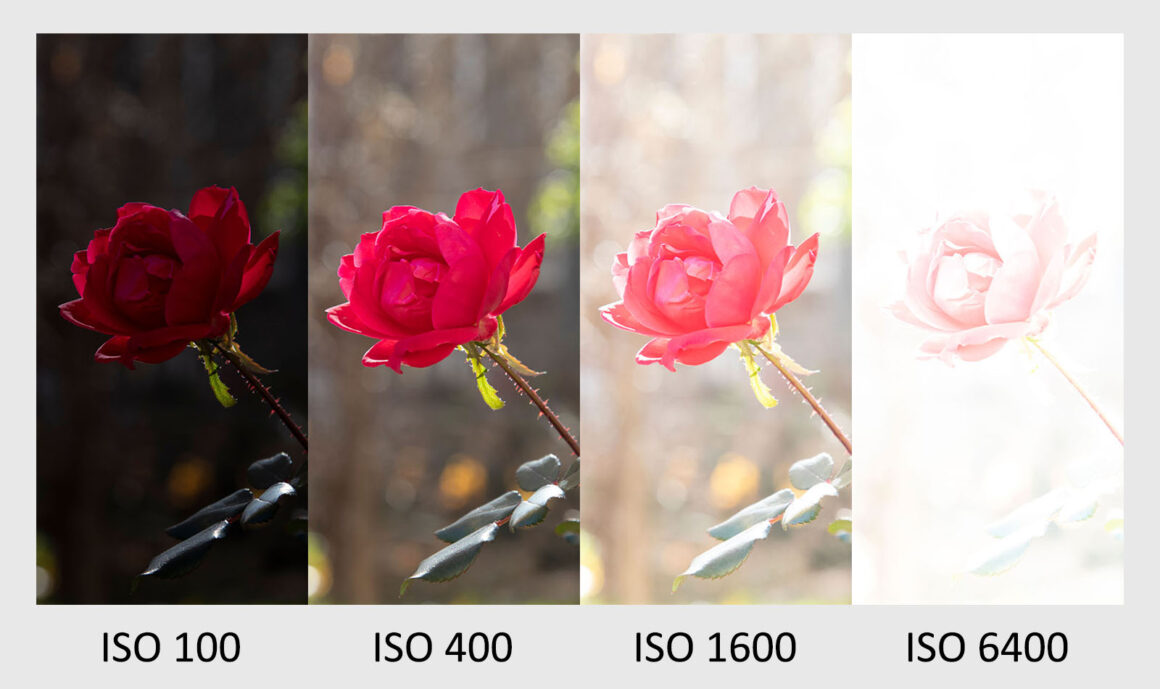how iso affects brightness with all variables fixed