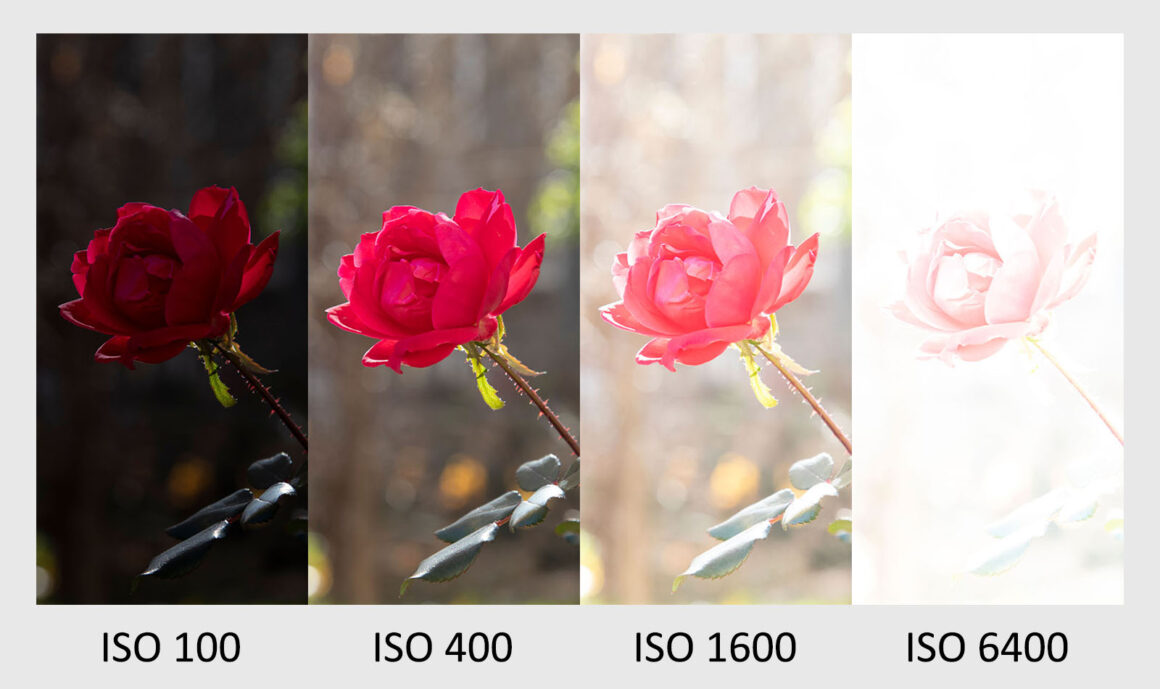 Fotoğrafta ISO: Eksiksiz Bir Kılavuz 3 how iso affects brightness with all variables fixed
