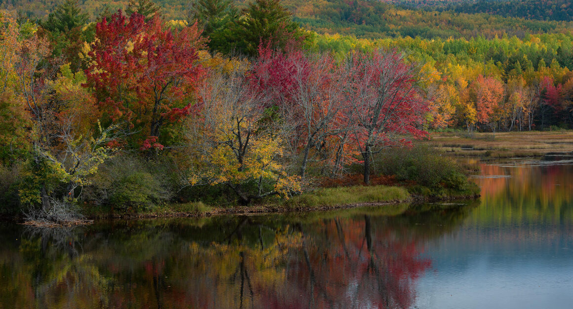 jeremy gray landscape guide abol bridge autumn telephoto lens