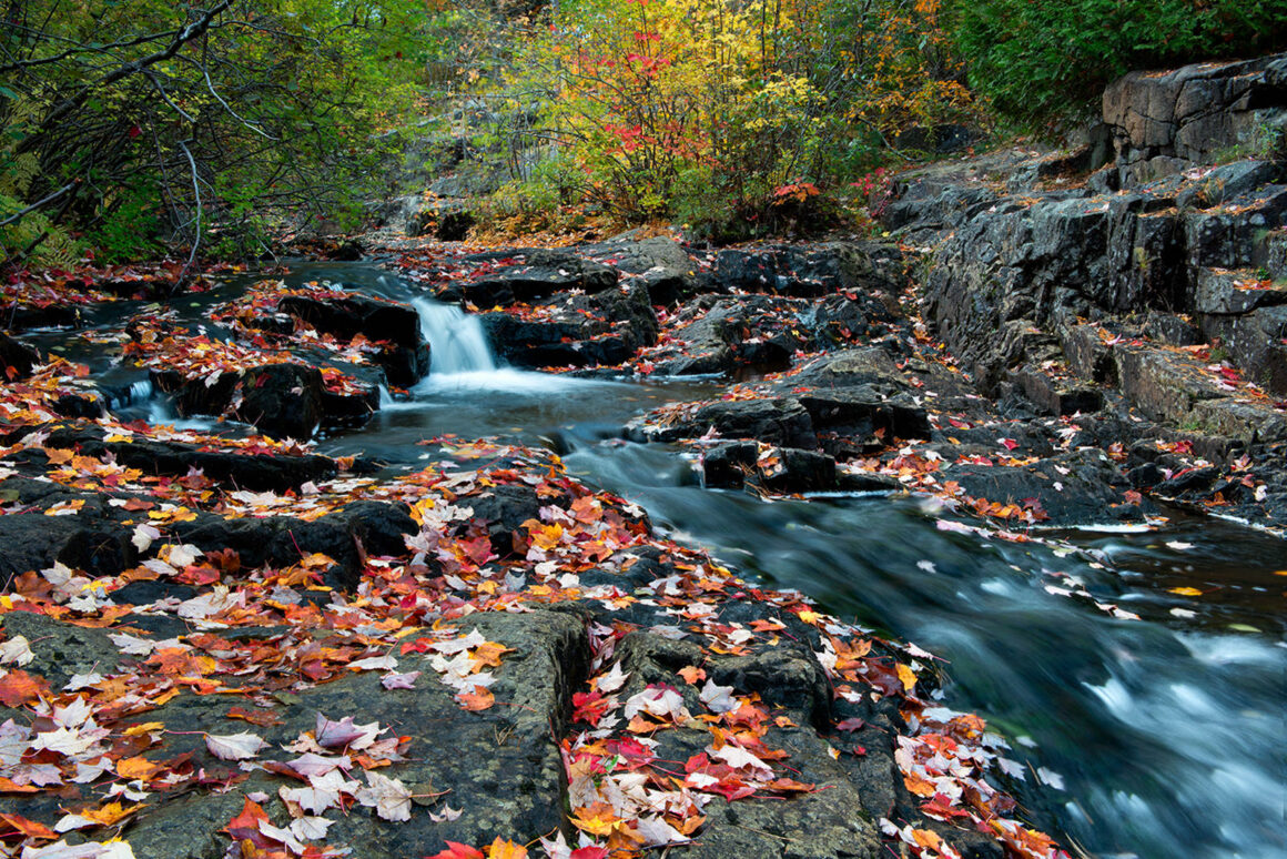 jeremy gray landscape guide duck brook fall 1