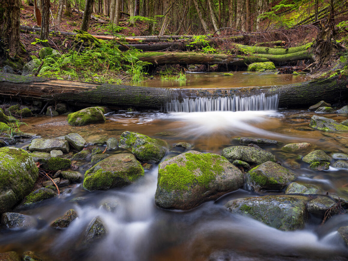 jeremy gray landscape guide fields pond nature center focus stack layers