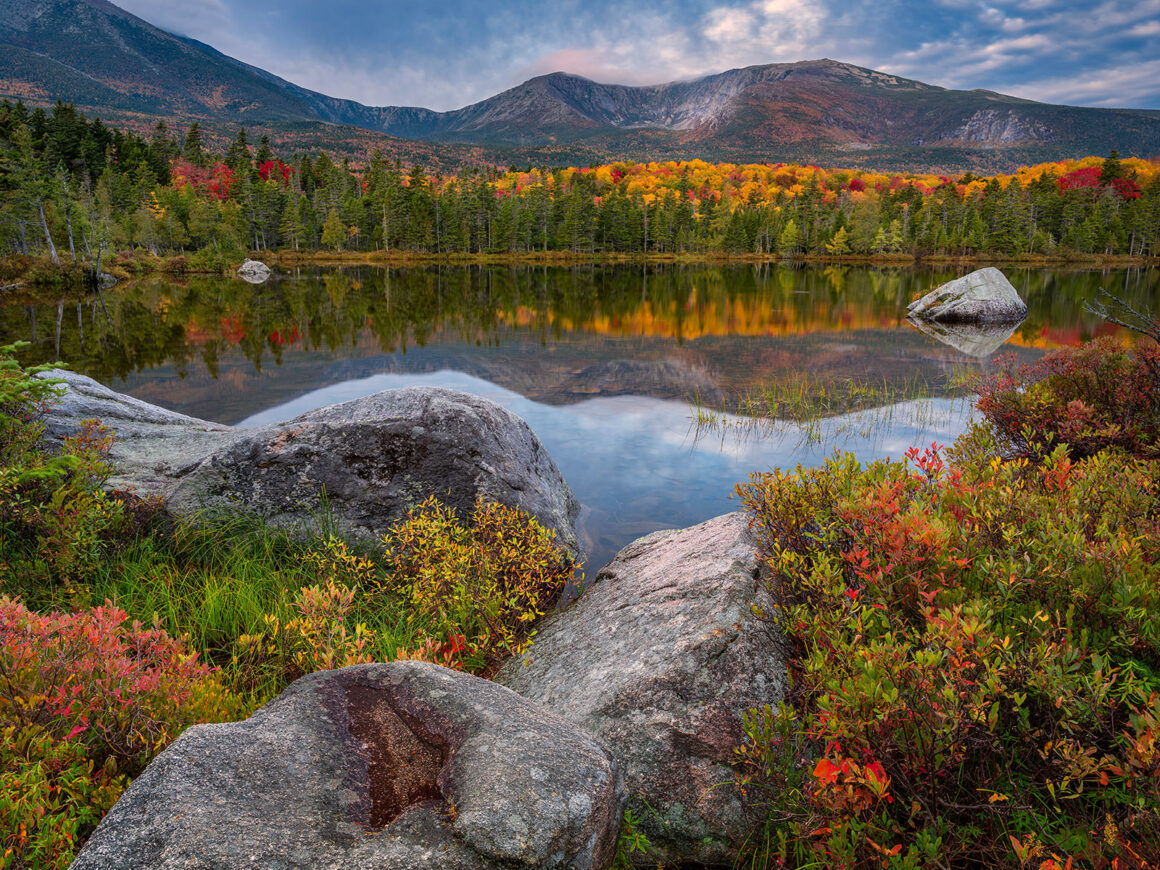 jeremy gray landscape guide sandy stream pond composition edges