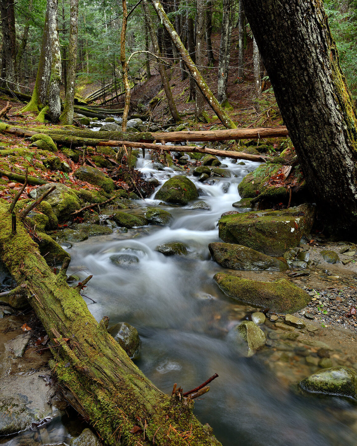 jeremy gray landscape photo guide fields pond nature center composition diagonal lines