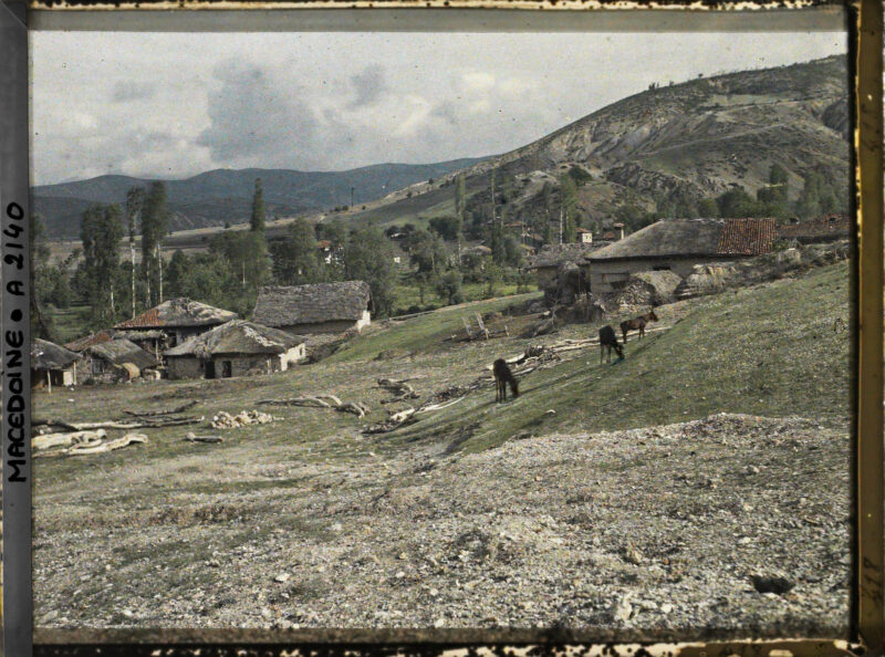 02490000 0aff 0242 dde4 08dad88a912c