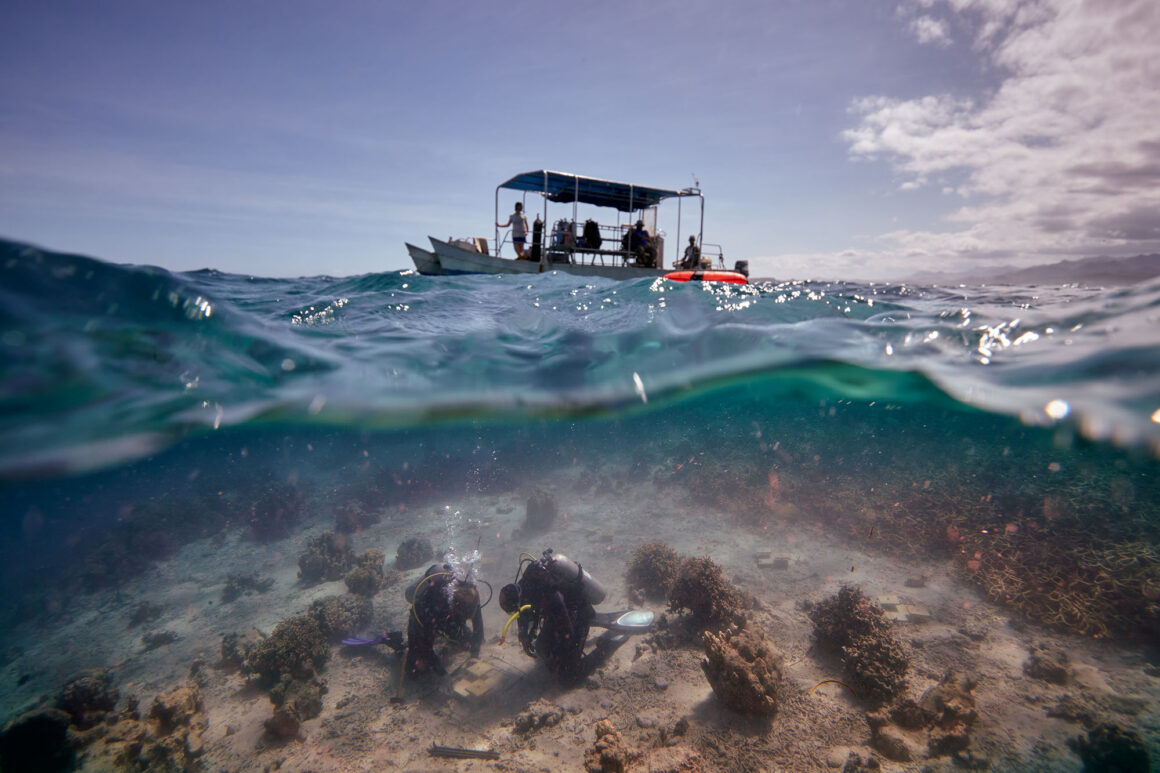 23. Highly Commended Ecology In Action Underwater research in Fiji Andreas Eich BES Capturing Ecology 2022