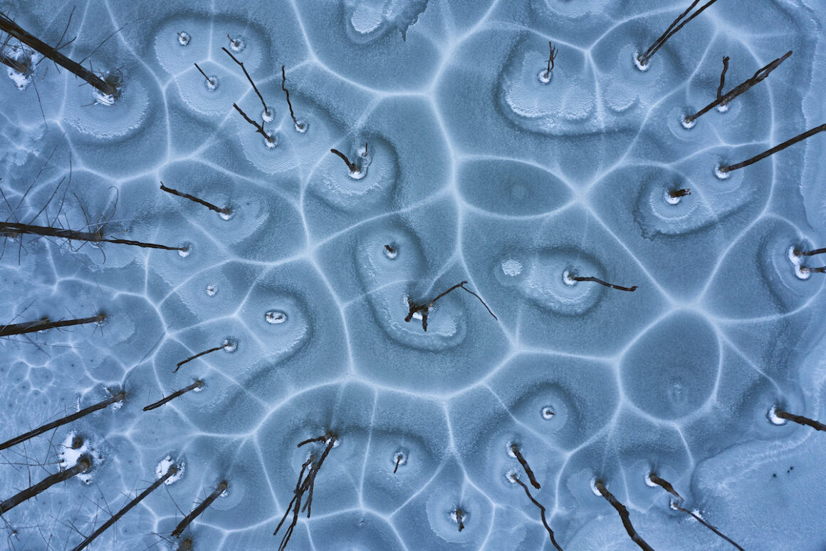 The International Landscape Photo of the Year Ödülleri 2022 8 AbstractAerialAward 39655 Gheorghe Popa The Network