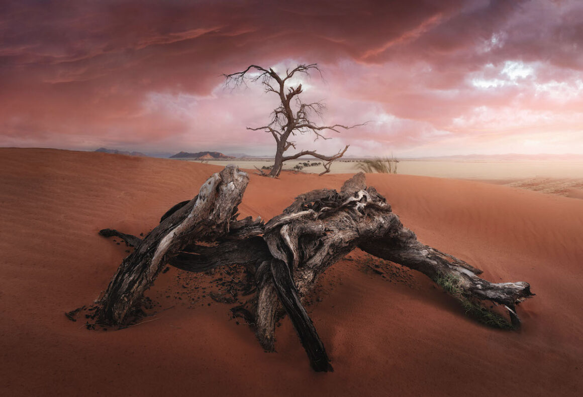 The International Landscape Photo of the Year Ödülleri 2022 9 AmazingCloudAward 37385 Jose D. Riquelme The Old Tree