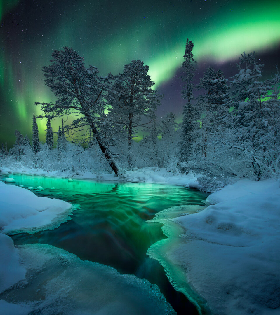 2022 Kuzey Işıkları Yılın Fotoğrafçısı 13 AnastasiaR MagicNight