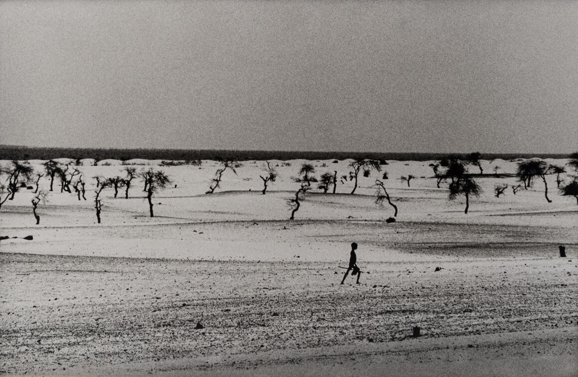 Lot 97 Sebastiao Salgado