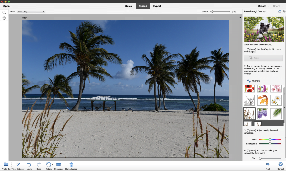 Adobe Photoshop Elements 2023 incelemesi