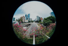 Panasonic, Fotoğraflardaki Balık Gözü Bozulmasını Düzelten Yeni Bir Yöntem Geliştirdi 13 Panasonic Fotograflardaki Balik Gozu Bozulmasini Duzelten Yeni Bir Yontem Gelistirdi