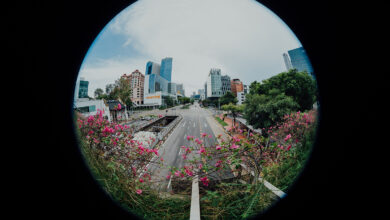 Panasonic, Fotoğraflardaki Balık Gözü Bozulmasını Düzelten Yeni Bir Yöntem Geliştirdi 11 Panasonic Fotograflardaki Balik Gozu Bozulmasini Duzelten Yeni Bir Yontem Gelistirdi
