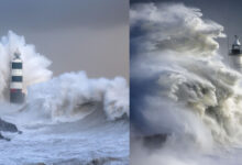 Yapay Zeka Bir Fotoğraf Yarışmasını Kazanabilir mi? 12 Yapay Zeka Bir Fotograf Yarismasini Kazanabilir mi