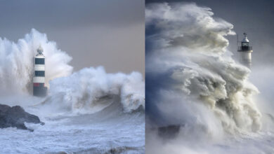 Yapay Zeka Bir Fotograf Yarismasini Kazanabilir mi