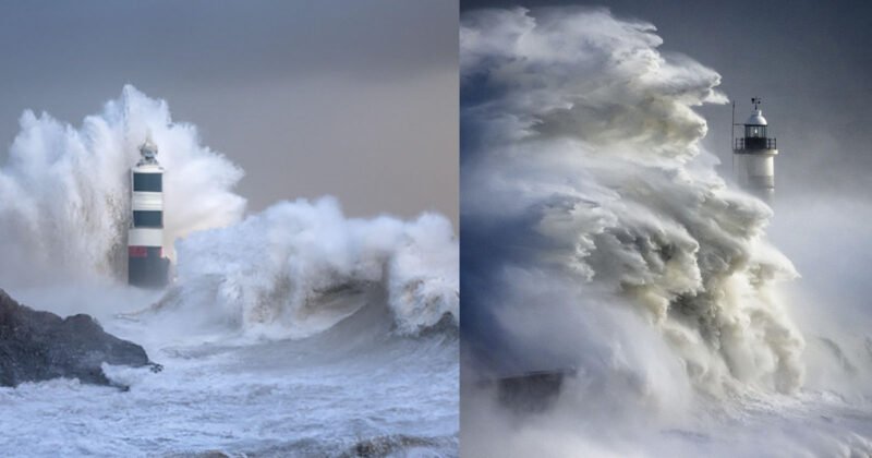 Yapay Zeka Bir Fotograf Yarismasini Kazanabilir mi